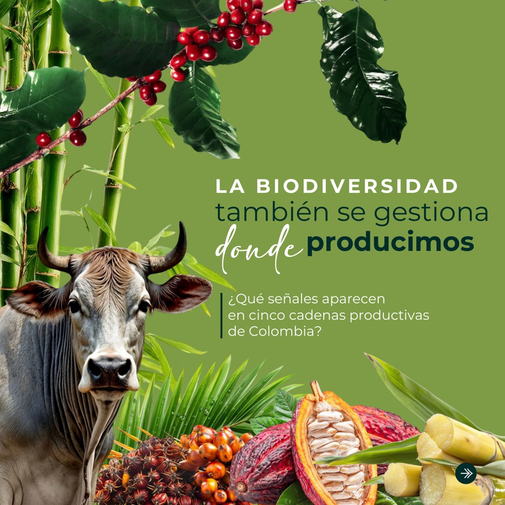 Portada del carrusel Cinco cadenas, cinco señales: la biodiversidad también se gestiona donde producimos.