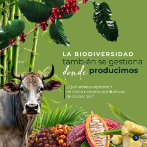 Portada de la publicación técnica La biodiversidad también se gestiona donde producimos: cinco cadenas, cinco señales