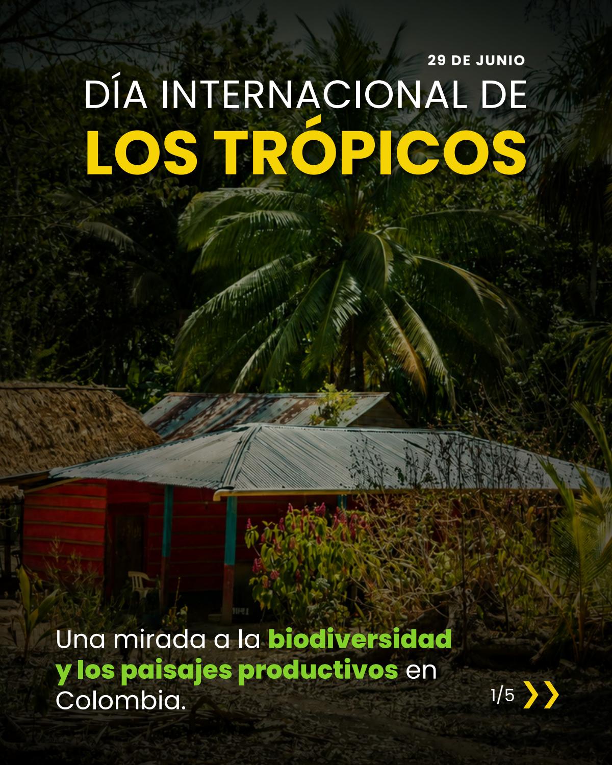 Portada de la publicación técnica sobre el Día Internacional de los Trópicos, biodiversidad y paisajes productivos en Colombia.