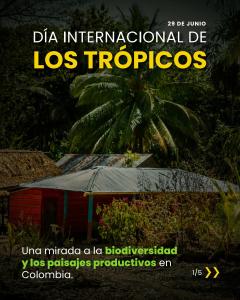 Portada de la publicación técnica sobre el Día Internacional de los Trópicos, biodiversidad y paisajes productivos en Colombia.